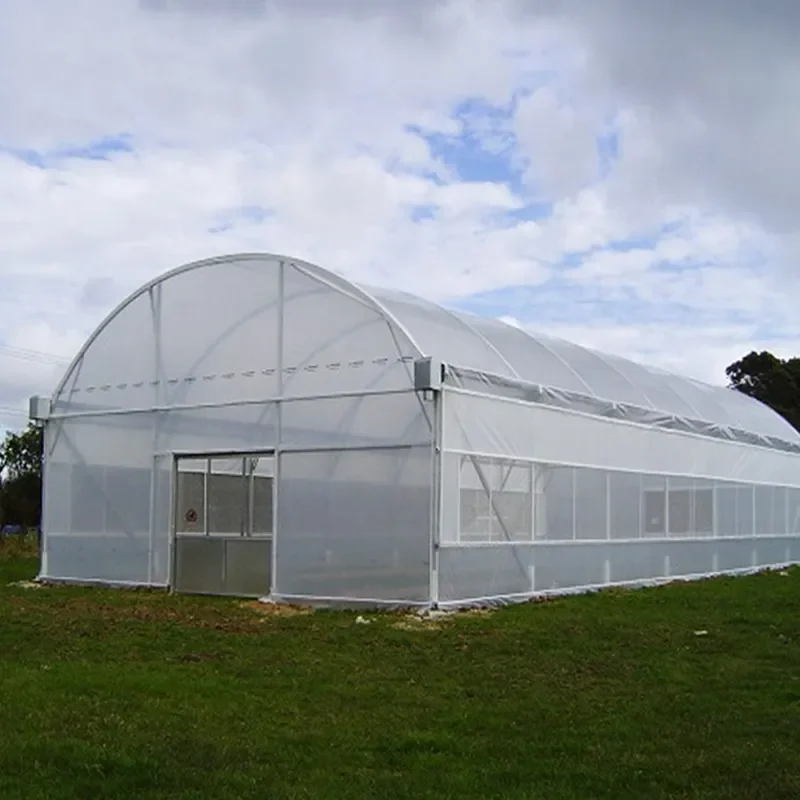 Greenhouse Plastic Film for Agricultural Usage and Greenhouse Film Tunnel Greenhouse Plastic film for Vegetables/Flowers