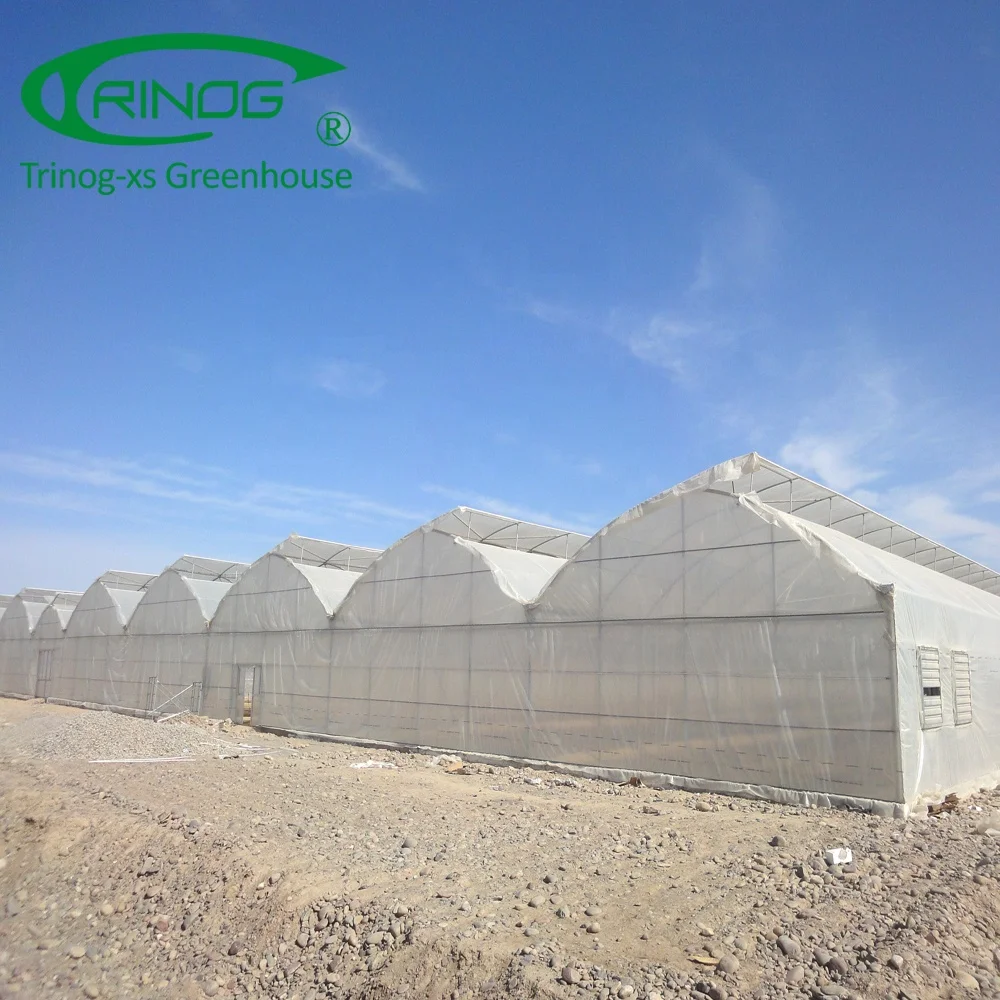 Trinog Greenhouse multi-span Electric open roof vent butterfly agricultural greenhouses for tropical climate