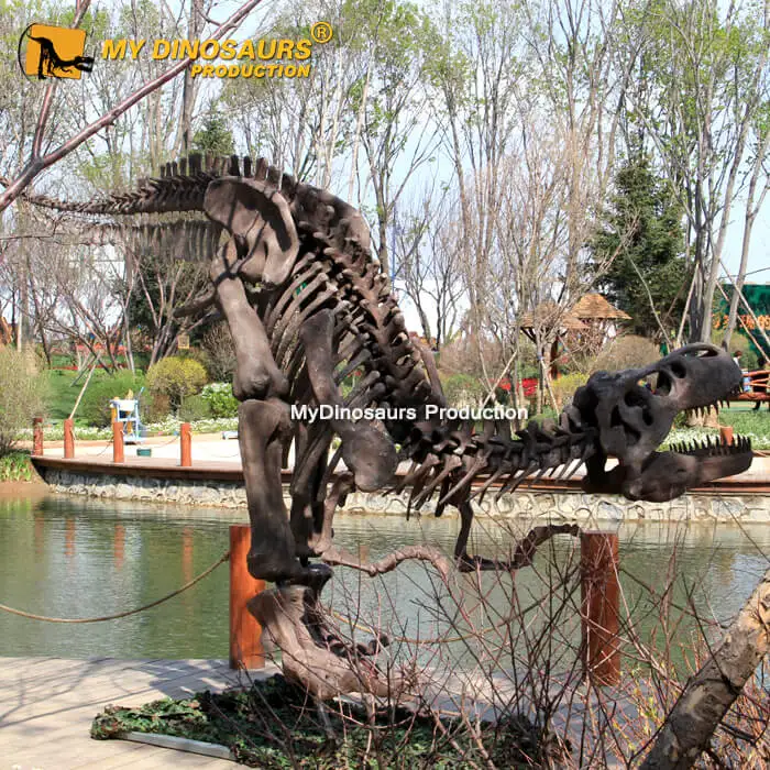 My Dino Life Size Dinosaur T-rex Skeleton for Shopping Mall