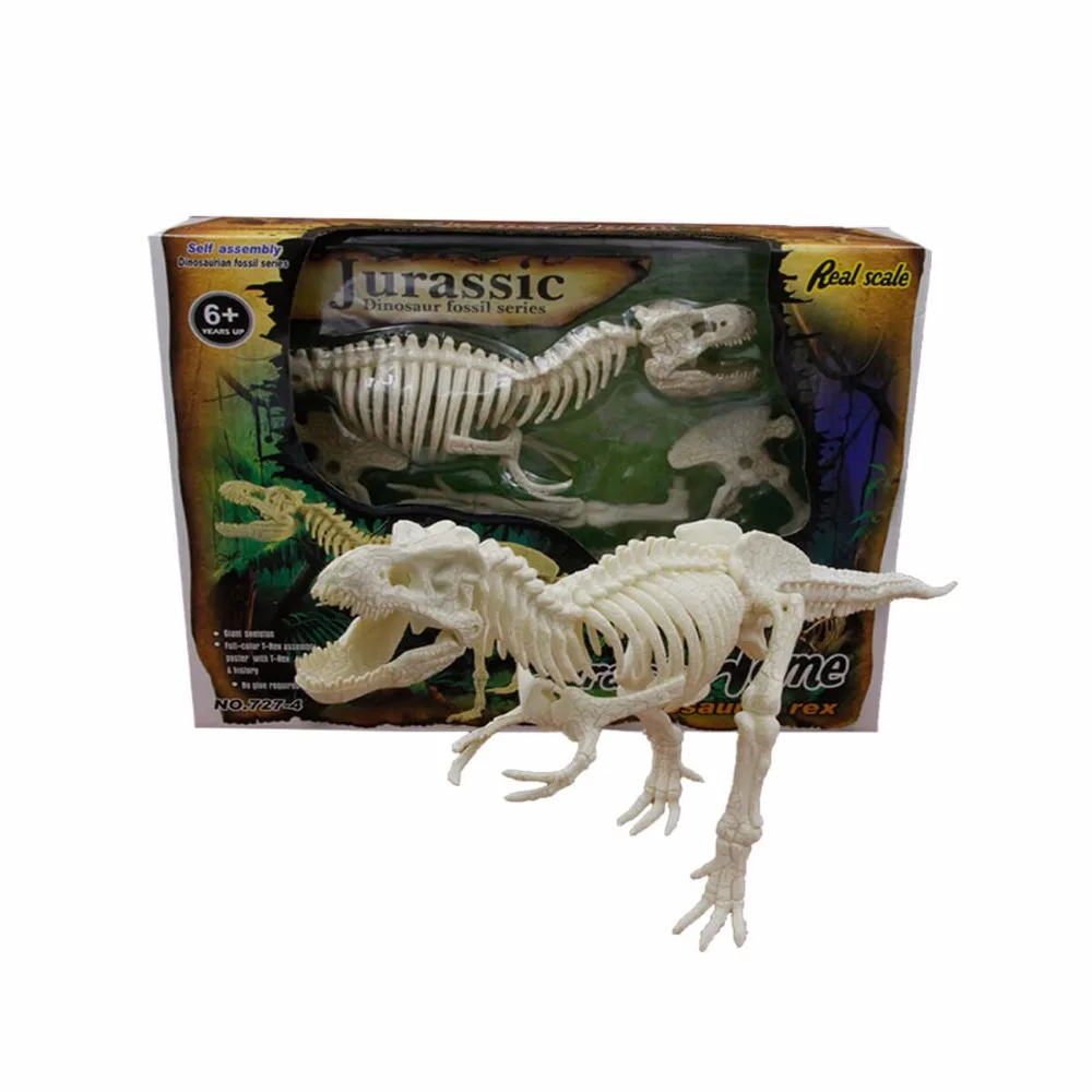 Chinese Manufacturer 3D Dinosaur Skeleton Fossil for Sale