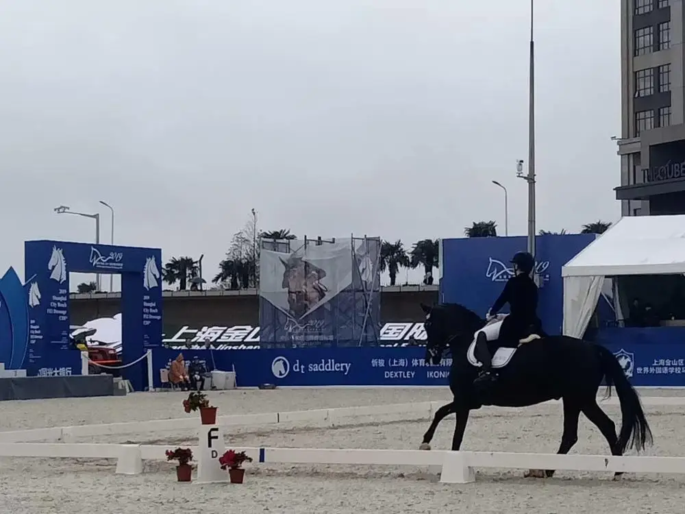 PVC horse fence vinyl fence horse fence