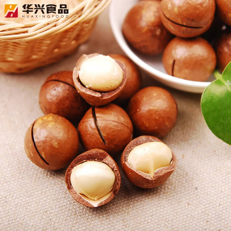 factory Nutrious Macadamia Nuts Export quality From South Africa