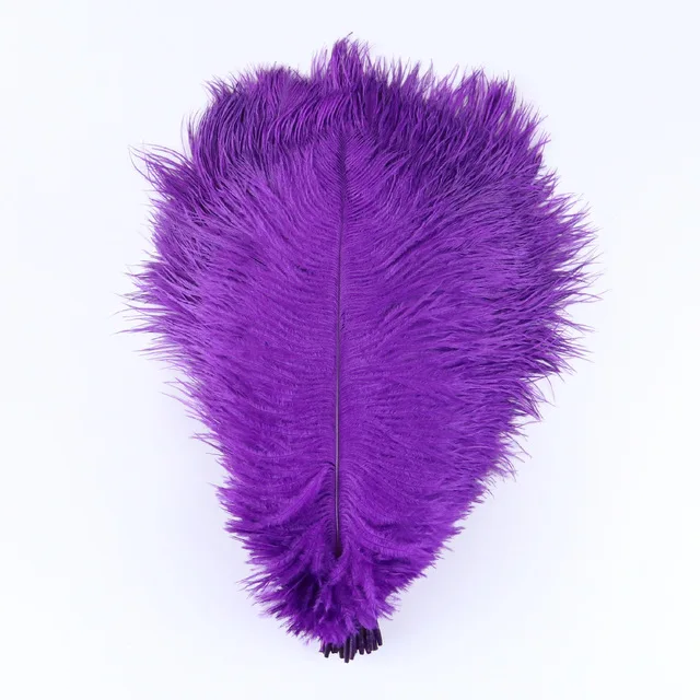 FH213 Small Size Decorative Dyed Ostrich Feather