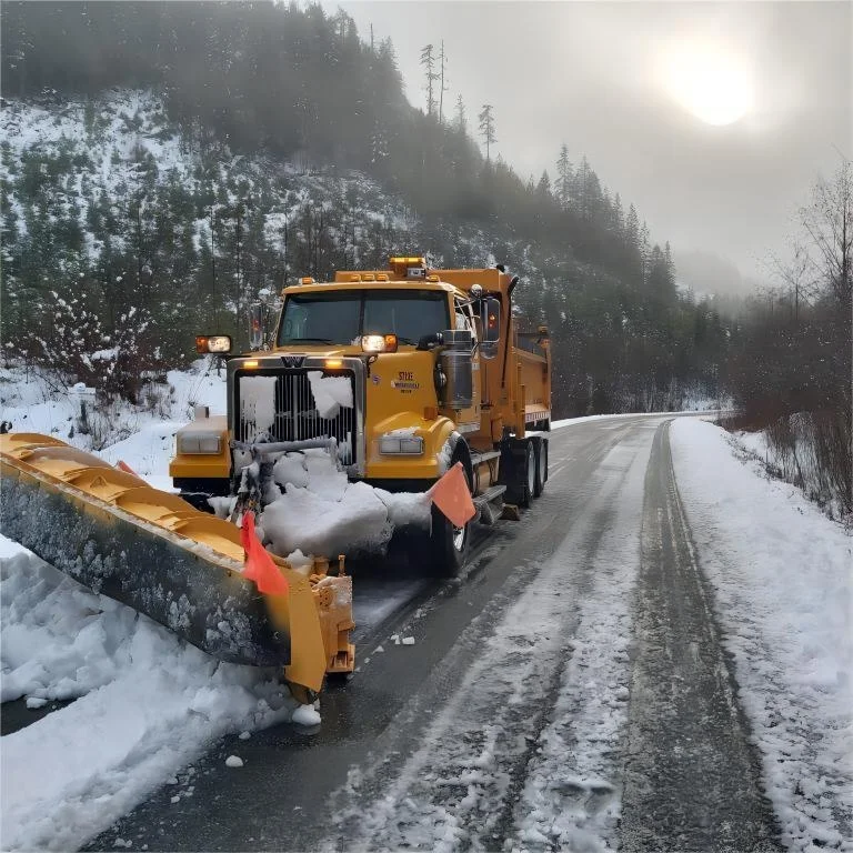 Snow and Ice Cutting edge /Snowplow Cutting edge Blades/ Carbide inserted cutting edges