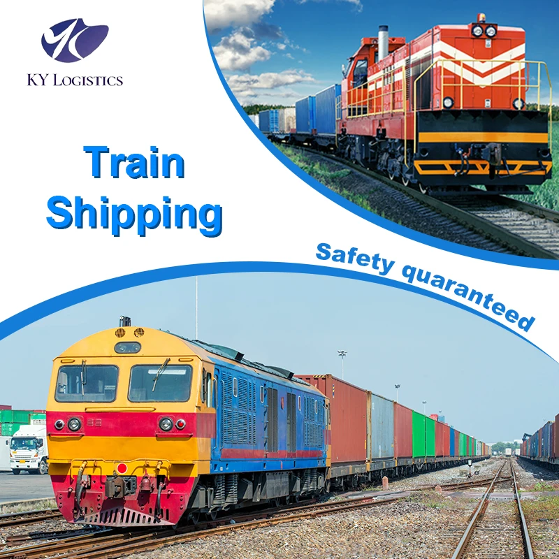 FR Shipping Agent Sea Freight Cargo Service from China to  Sea Shipping Agency DDP Logistics