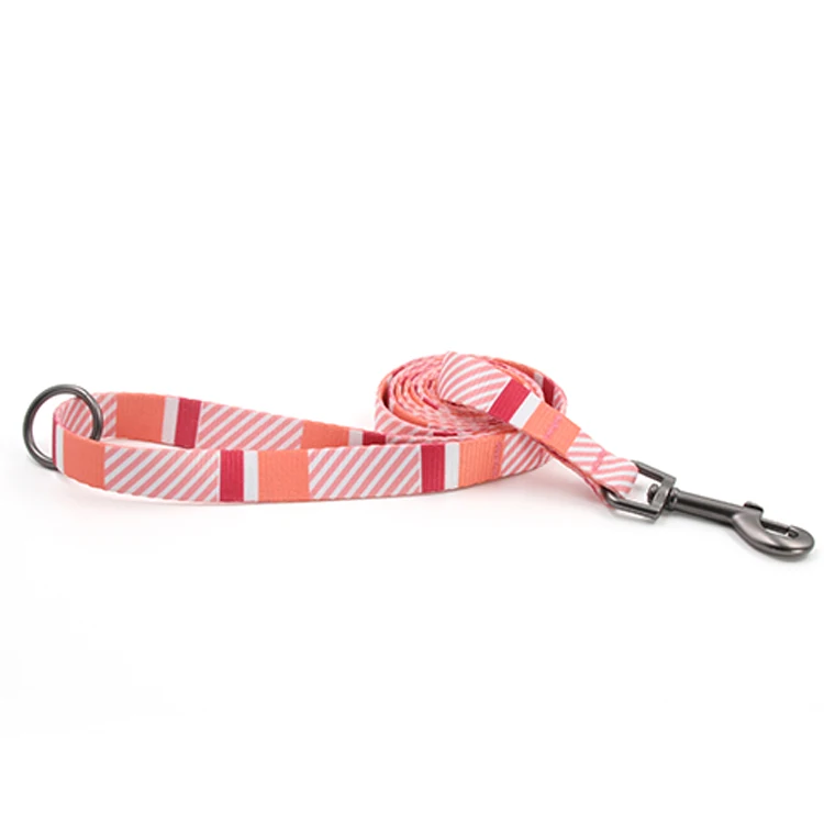 Puppy multi stripes step in sublimation designers dog harness and leash set