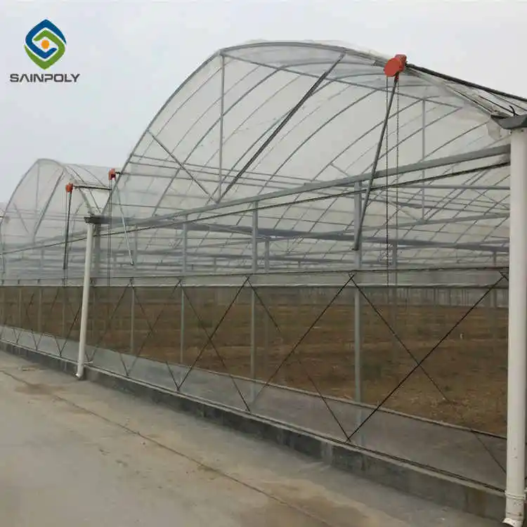 1 acre greenhouse pvc film green house for tomato growing