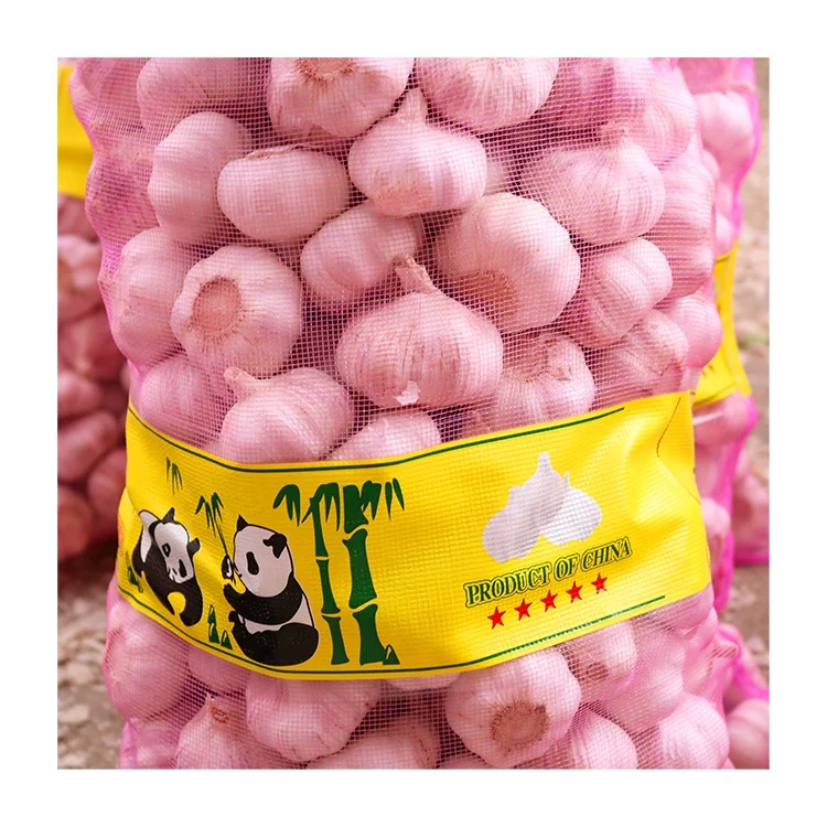 Garlic bawang putih fresh normal white garlic mesh bag GLOBAL GAP best quality Chinese white garlic