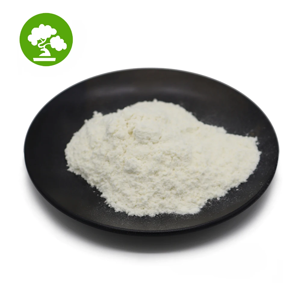 Bulk Supply Probiotics Powder Bifidobacterium Animalis