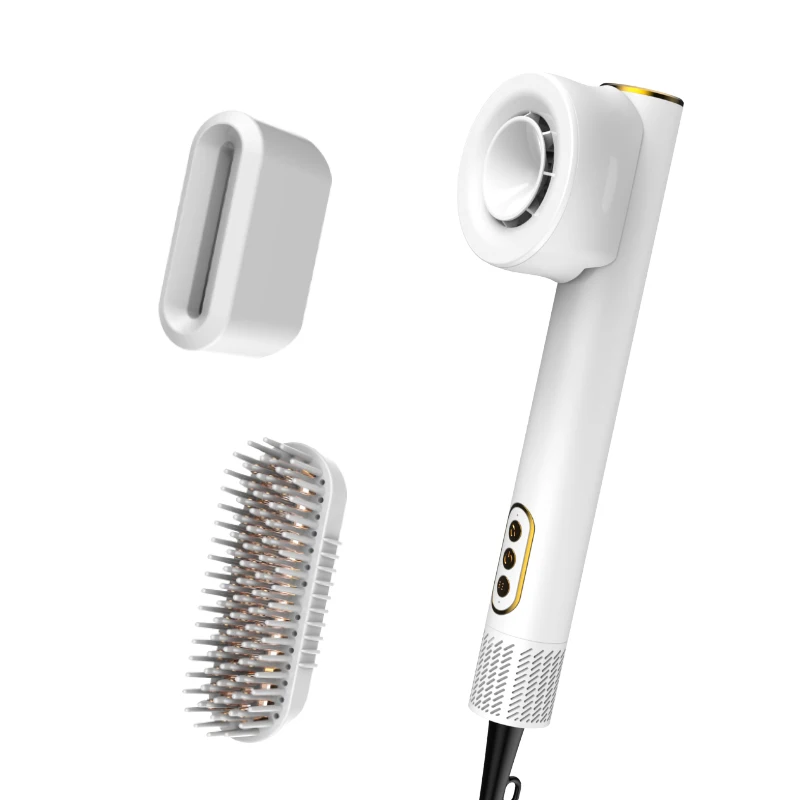 2021 New Product 3 in 1 Salon Hot Air Dryer With Fragrance Styler Professional Hair Dryer