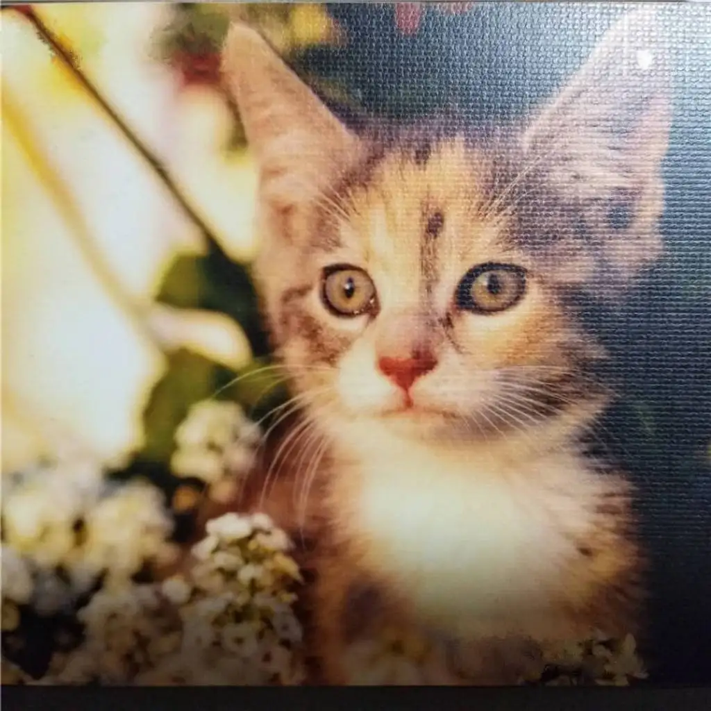 Photo Decoration Glossy Cold Lamination Film Roll For Printing Material