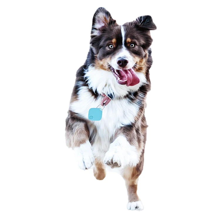 
2021 New product bluetooth activity tracker pet mini pet gps 