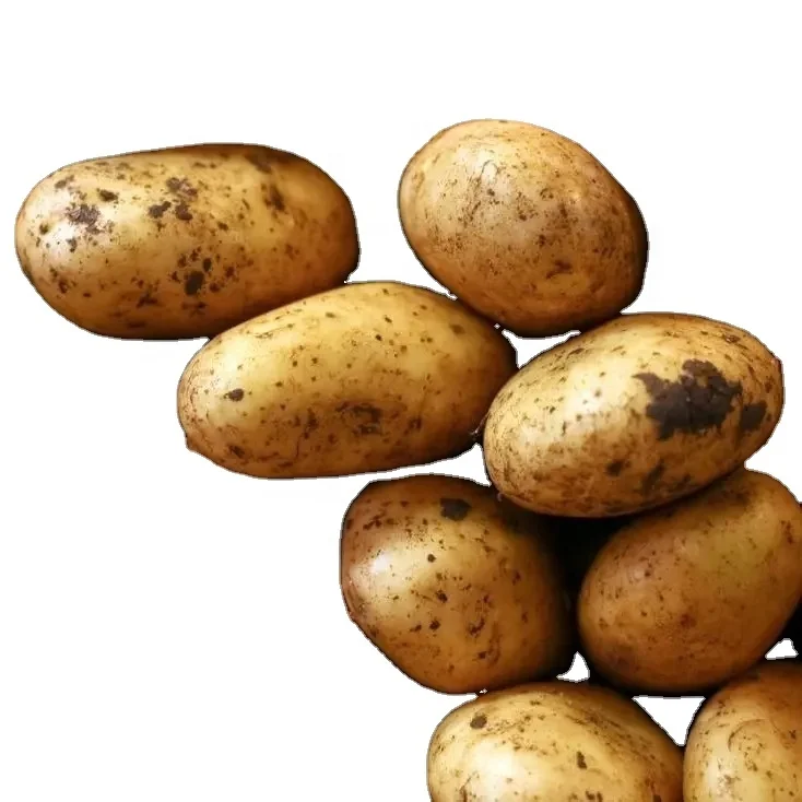 READY FOR EXPORT FROZEN POTATO FRENCH FRIES