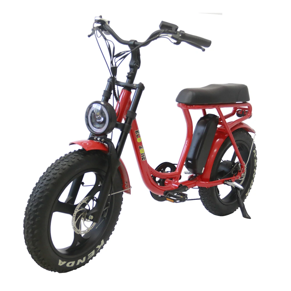20inch ebike 2 seat electric bike Long Seat 750W  fat bike Electric Bicycle With 6 speed gears and Disc Brake ebike
