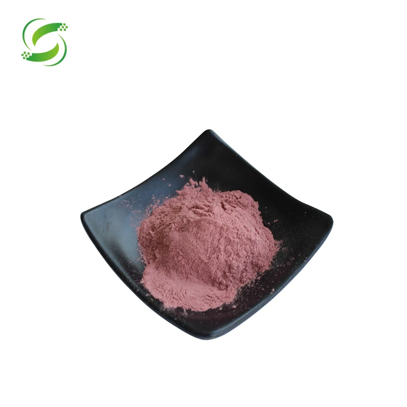 Red Dragon Fruit Extract Powder Pink Pitaya Dragon Fruit Powder
