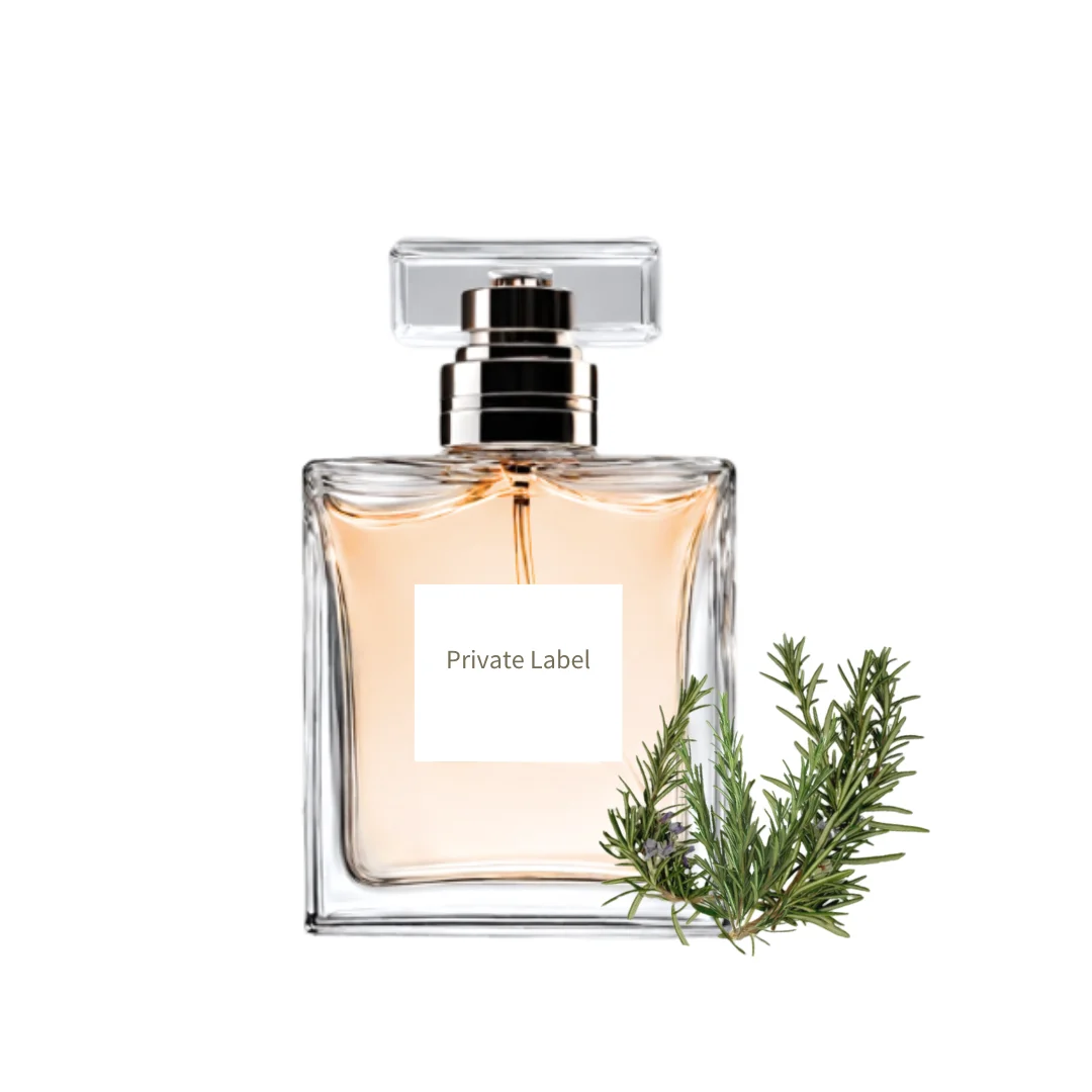 Warm Fresh Floral Alcohols Free Perfume Customized Citrus Woody Eau De Toilette Aroma Parfum