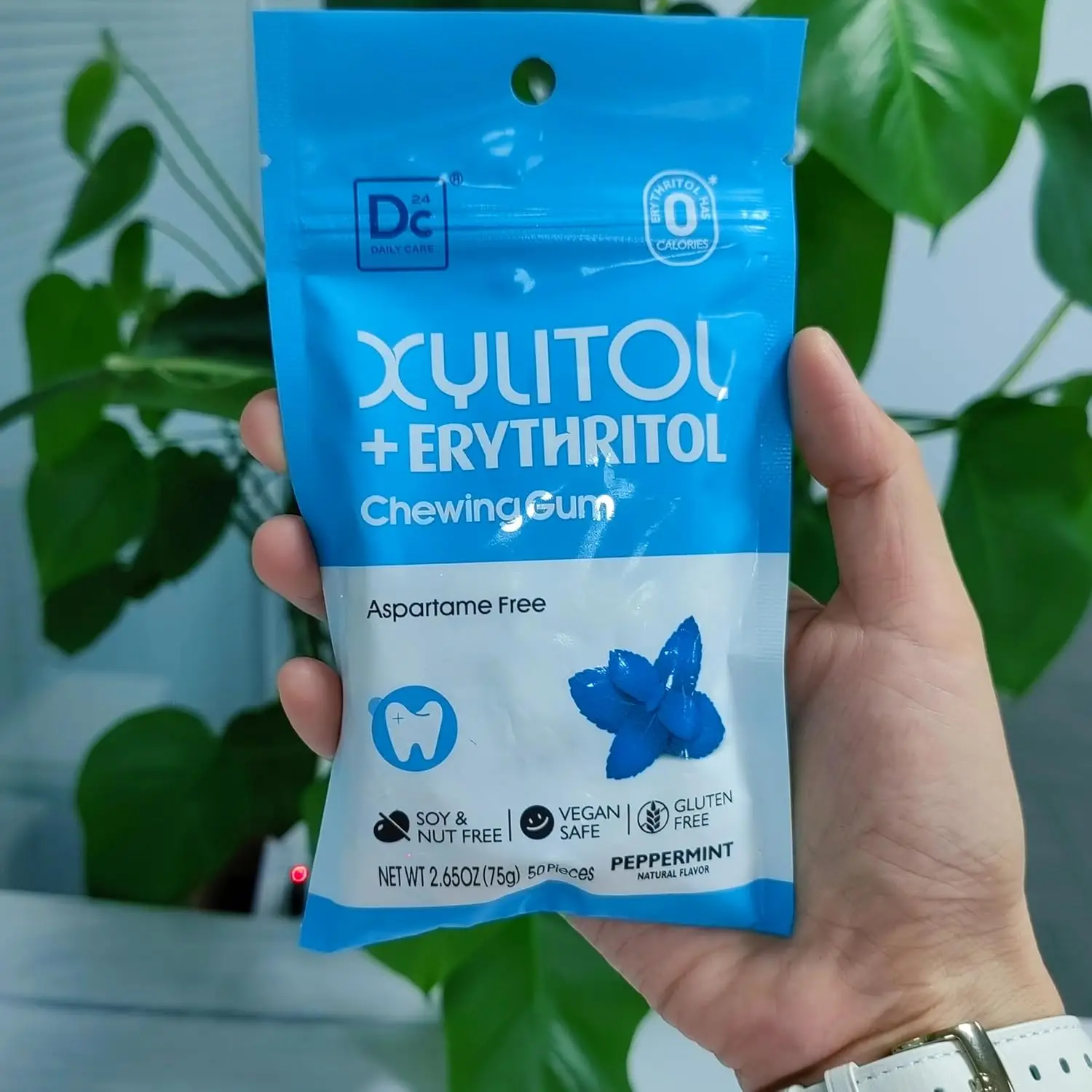 Dc24 Daily Care Erythritol Xylitol Sugar Free Vegan 75g One Pouch Peppermint Chewing Gum