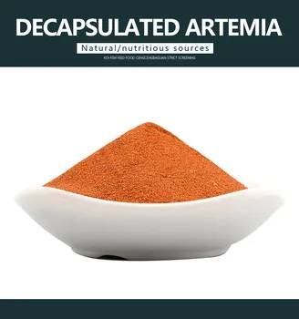 Decapsualted рассол креветки яйца без ракушки Артемия цисты аквариум рыба