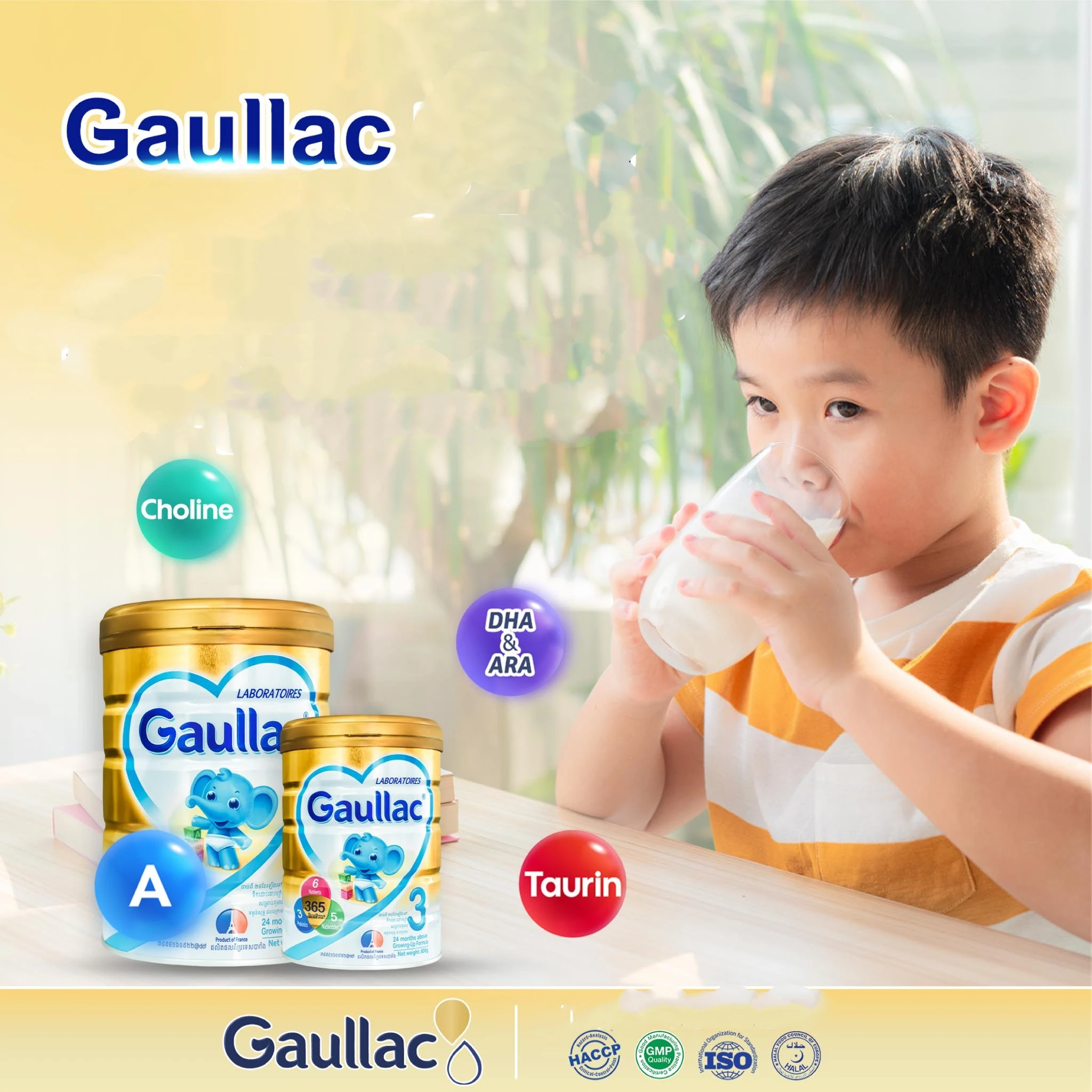 Детская формула детский молочный