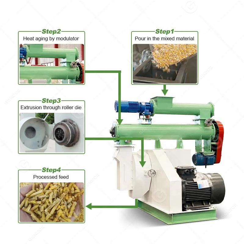 Ring Mold Granulator 1mm Sheep Pig Feed Processing Pellet Production Maker Machine for Make Grass Feed