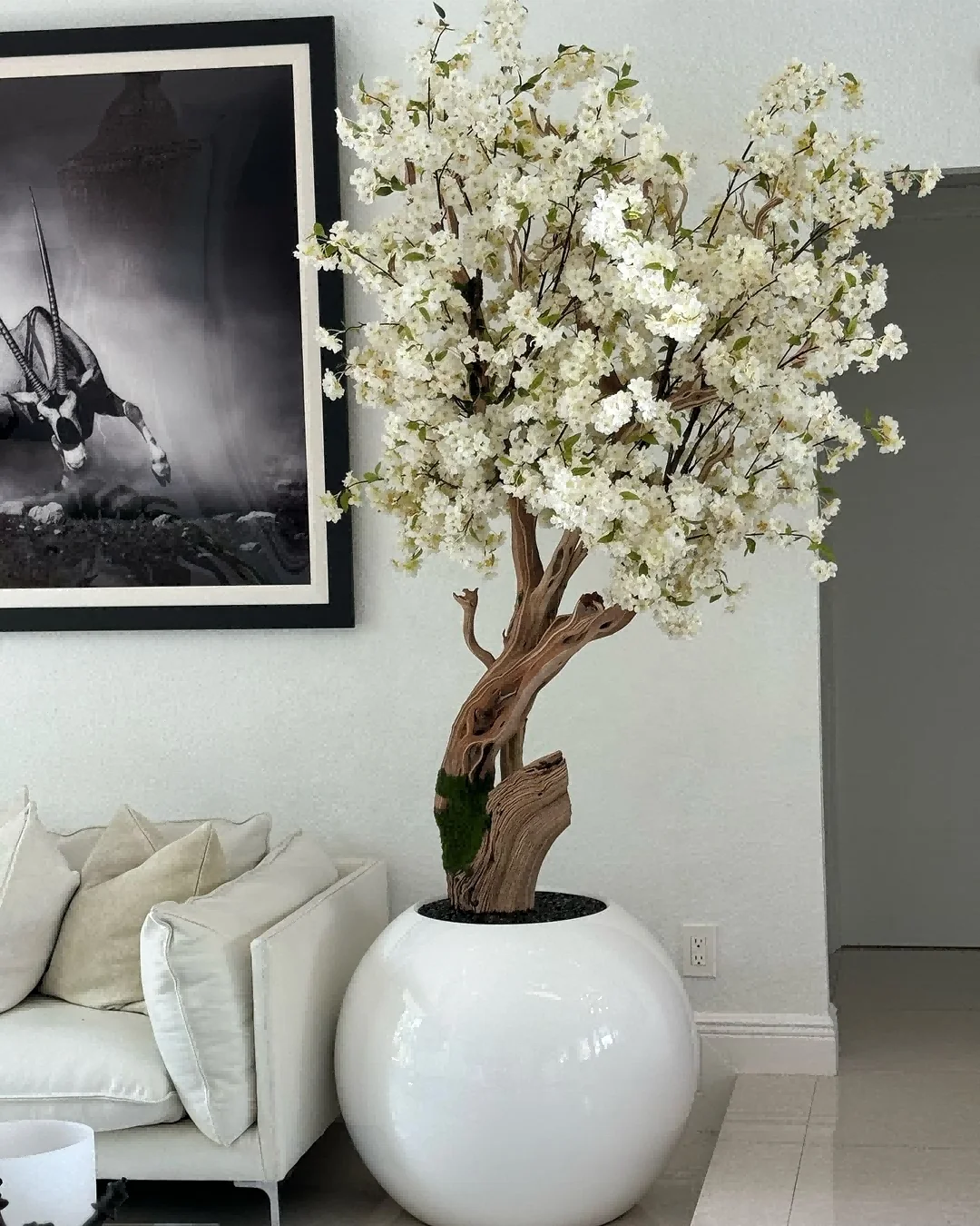 For New Design Wedding Bonsai Indoor Interiors Cherry Blossom Tree