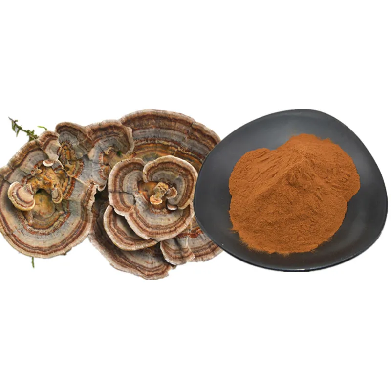 ISO/BRC/Halal/Kosher Сертифицированный Органический экстракт индейки 30% Полисахариды