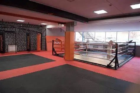  Боксерское кольцо MMA клетка 4 м x 7 Боевая для