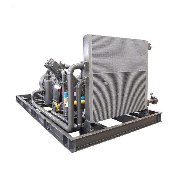 CNG Filling Station LNG Compression Piston Air Compressor High Pressure V Type Natural Gas Compressor Machines