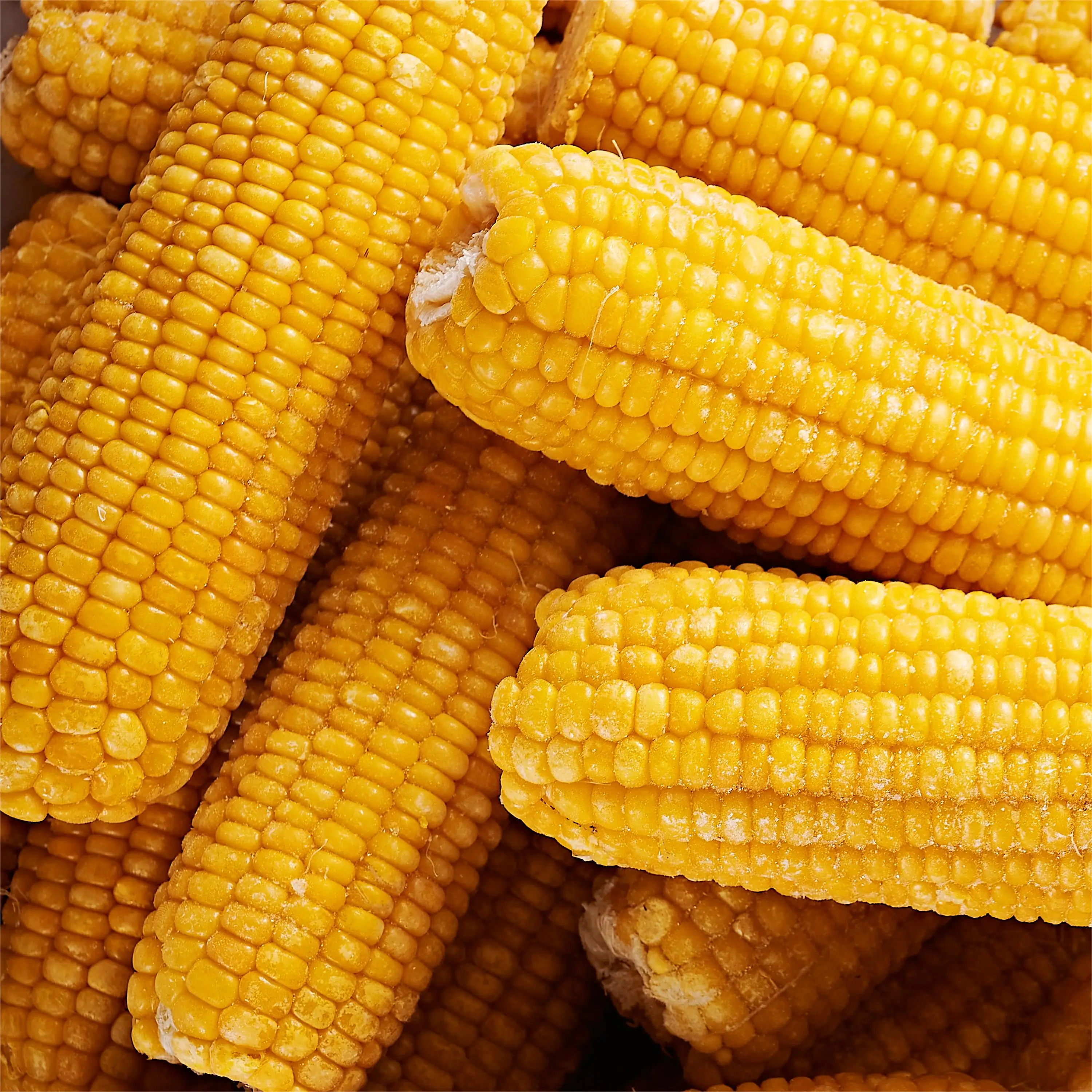 Прямые продажи с завода замороженная сладкая кукуруза оптовая продажа и экспорт замороженной сладкой кукурузы IQF