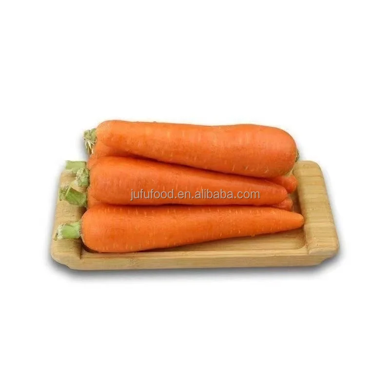 New Crop Fresh Organic Vegetables Wholesale Fresh Carrots Bulk Export Price