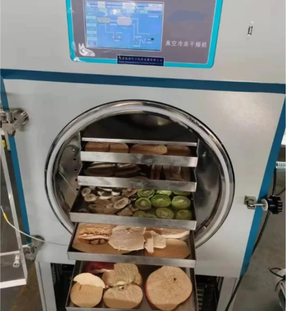 2023 Popular 6kg/Batch Cheap Lyophilizer Machine Price For Fruit,Food