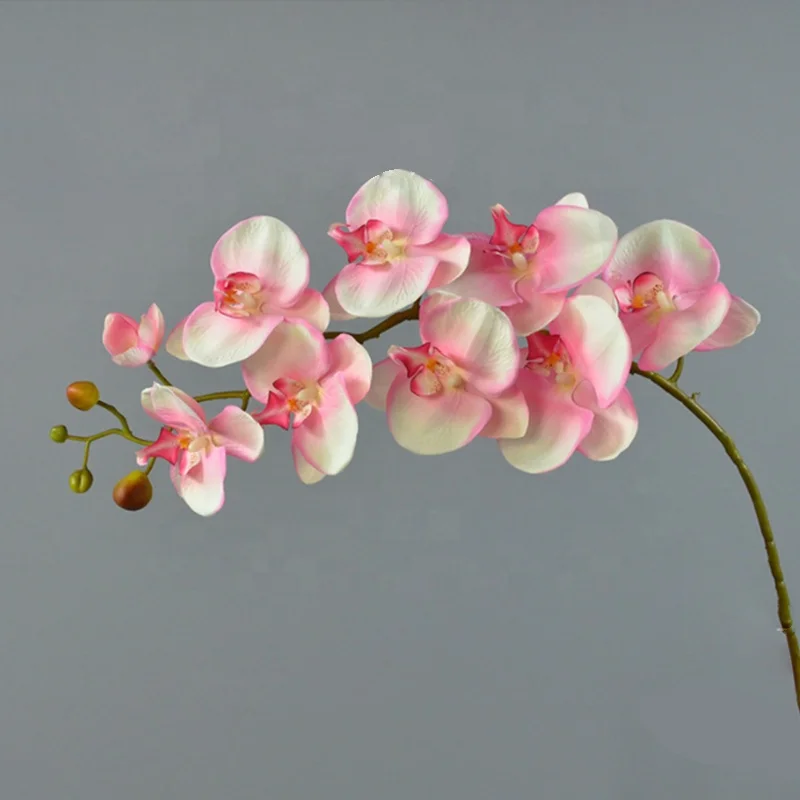 Real touch Environmentally Friendly Plastic phalaenopsis orchids live plant