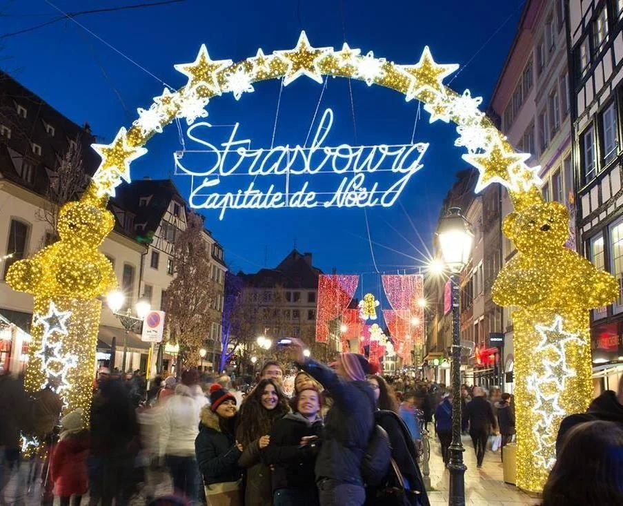 Outdoor Christmas Animated Decorations 2D 3D LED Street Motif Bear Deer Butterfly Lighted Arch For Street Zoo Park Light Show