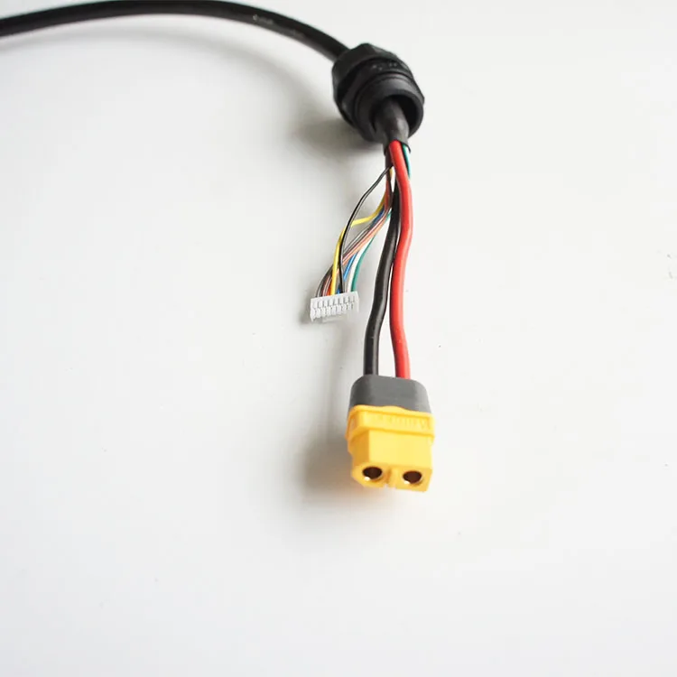 Custom XT60 Connectors to Molex Connector Cable assembly Wire Harness for Electric Cars and Electronic Devices