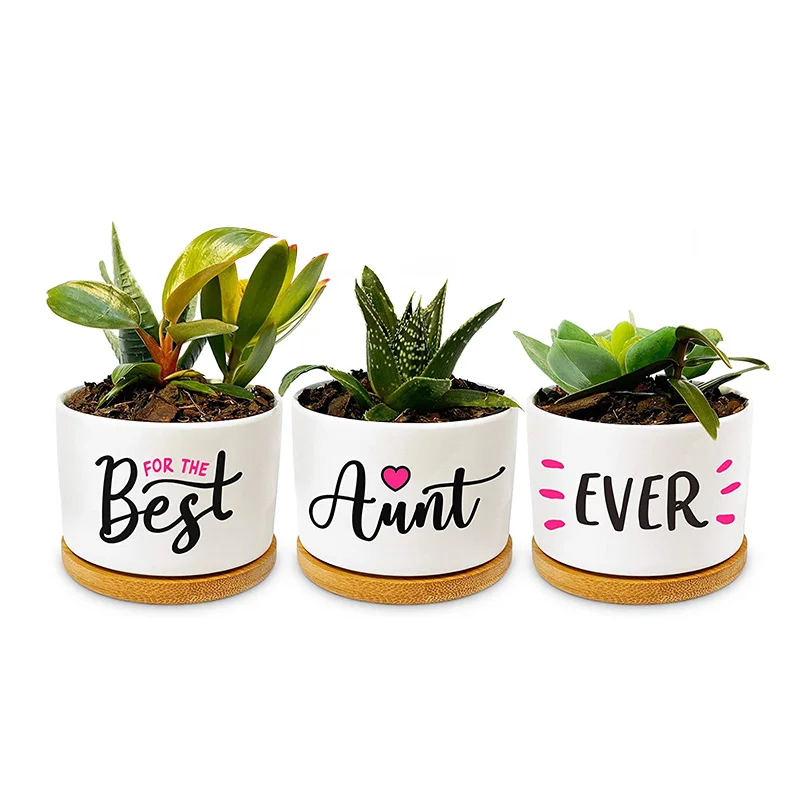 Custom Super Sweet Aunt Gift Our Pretty Best Aunt Ever Succulent Pots For Birthday or Christmas