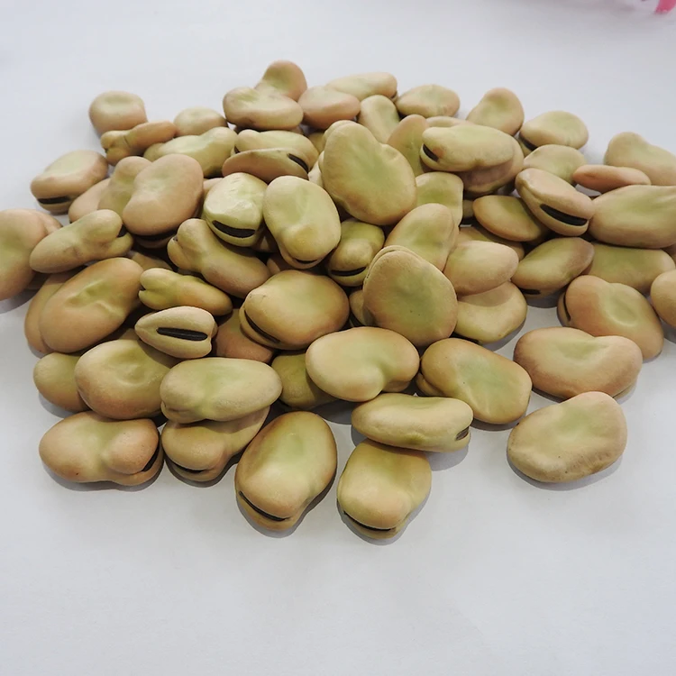 Британская фасоль Qinghai, оригинальная фасоль