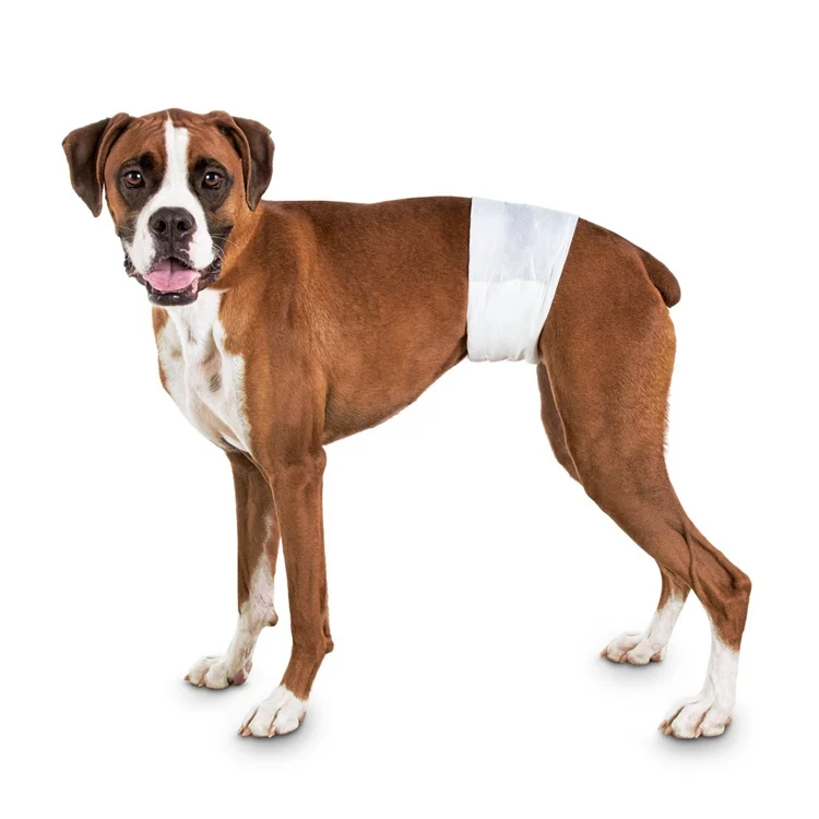 
high quality cheap price waterproof super absorbent disposable dog diaper 