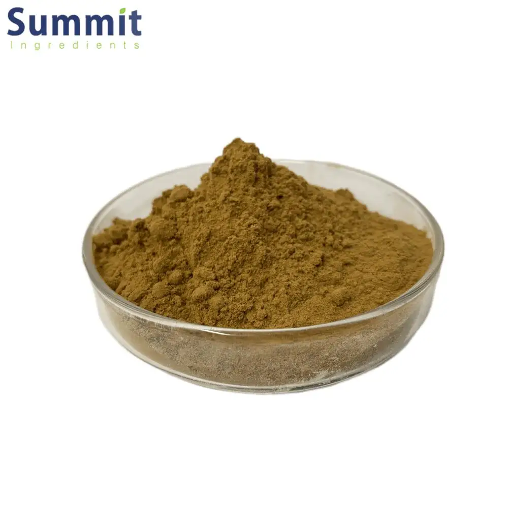 Wholesale Chaga Mushroom Powder Chaga Mushroom Extract Chaga Extract Powder