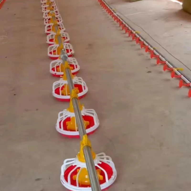Full-Automatic Poultry Farming Equipment for Broiler Breeding Chicken Shed/Chicken House with Efficient Chicken Bird Feeders