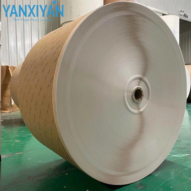 Direct Factory Food Grade Virgin Kraft Paper Rolls