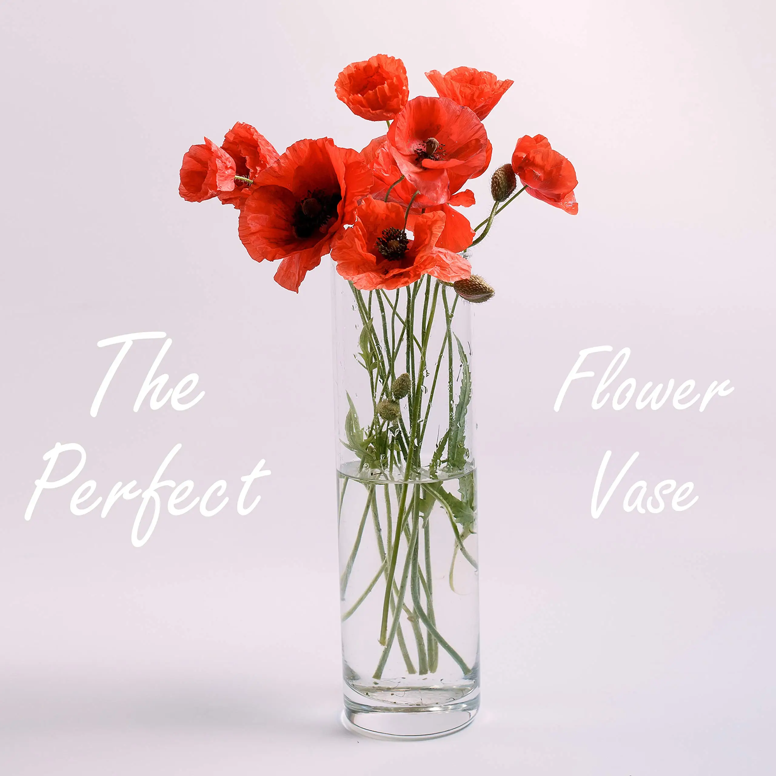 Лидер продаж, Большой Классический многоразовый напольный цилиндрический стеклянный цилиндр