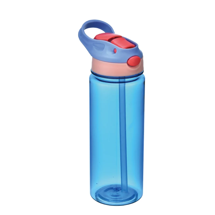
High Quality 650 ml Watertight Food Grade Water Bottle with Flip-out Lid 