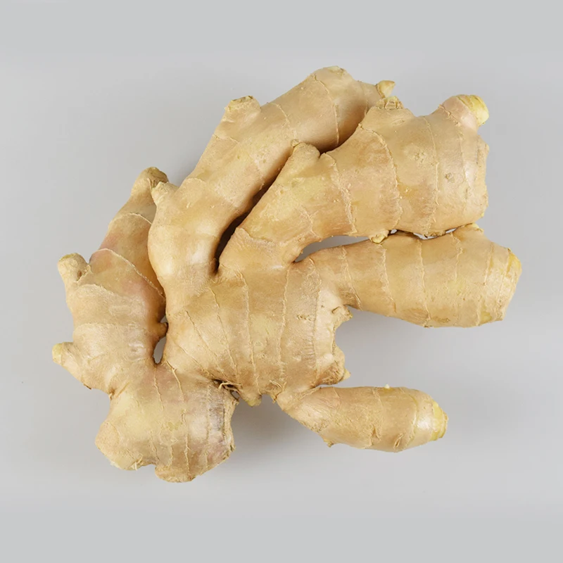 Свежий имбирь оптом, поставка органического нового свежего имбиря