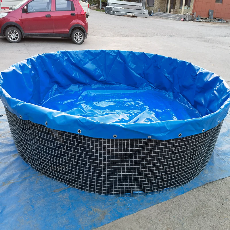 Customized Size Frame aquaponic system lobster pond fish farming equipment with cheap price