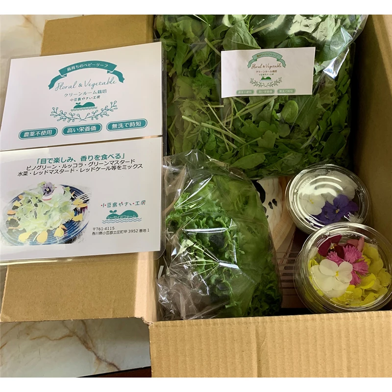 Japanese high quality delicious food packaging salad for edible flower