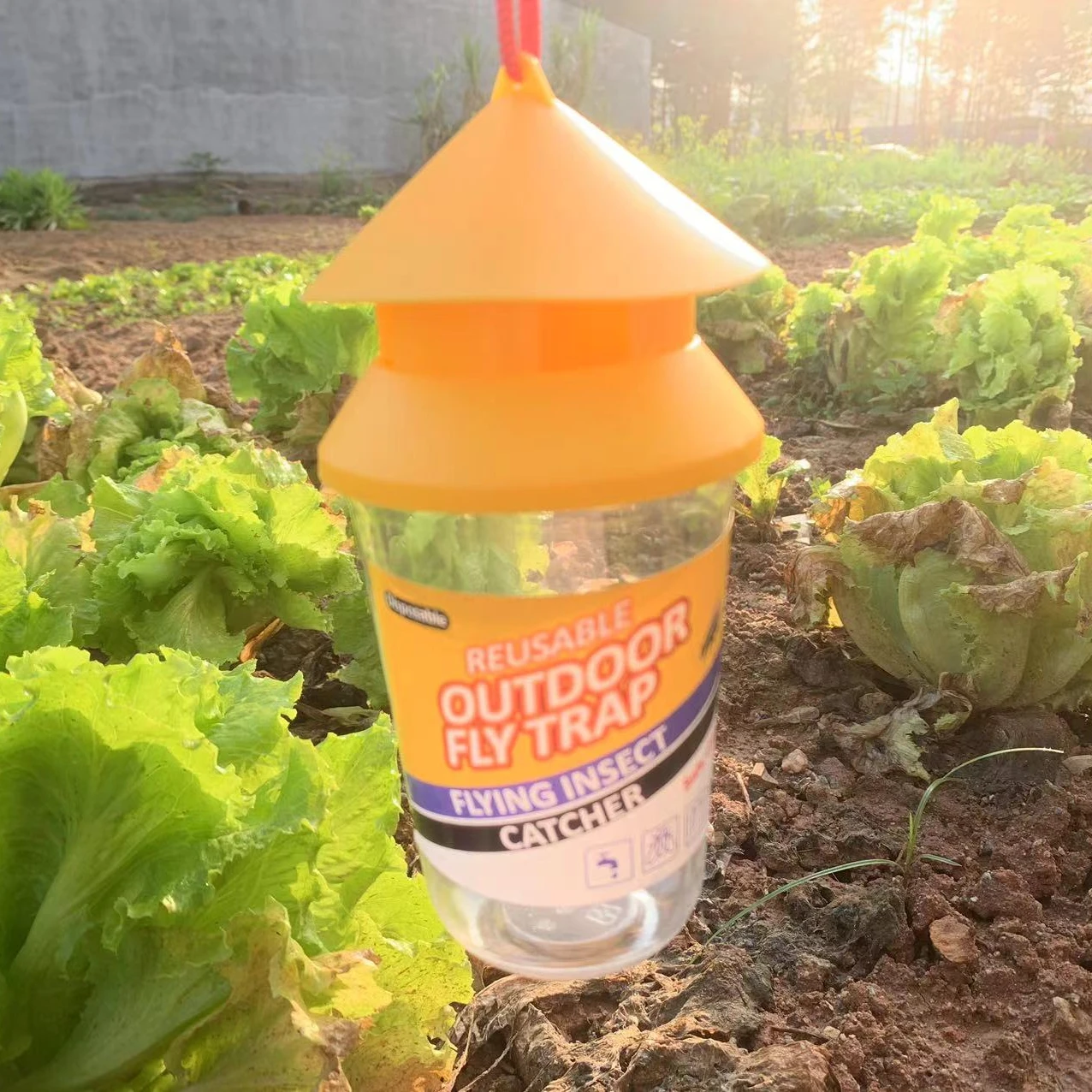 Fruit Fly Trap Bottle Box Glass Trap Catcher With Fly Killer Powder Fly Killing Bait