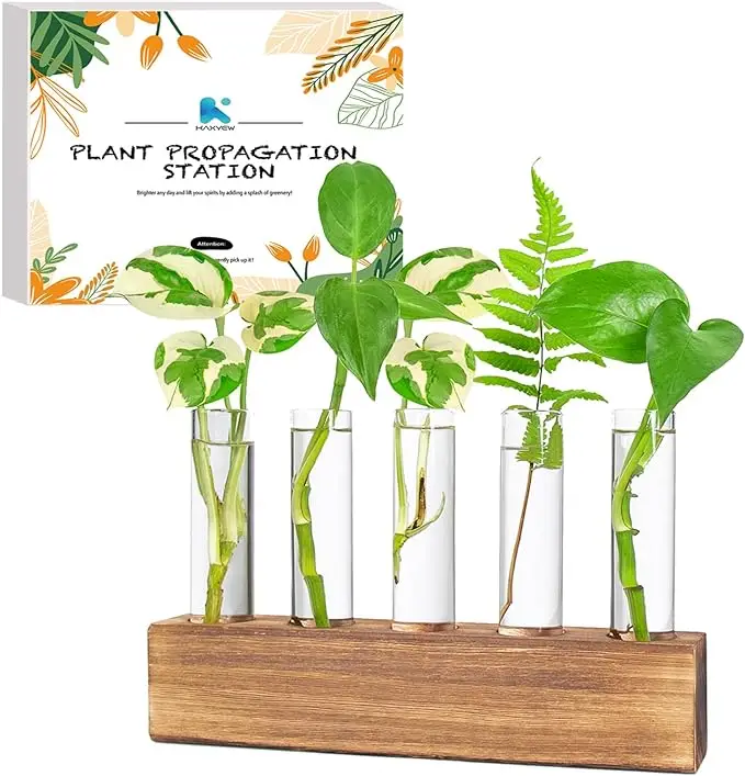Test Tube Planter Hydroponic Plant Wooden Frame Vase Wall Plant Hanger Propagation Station