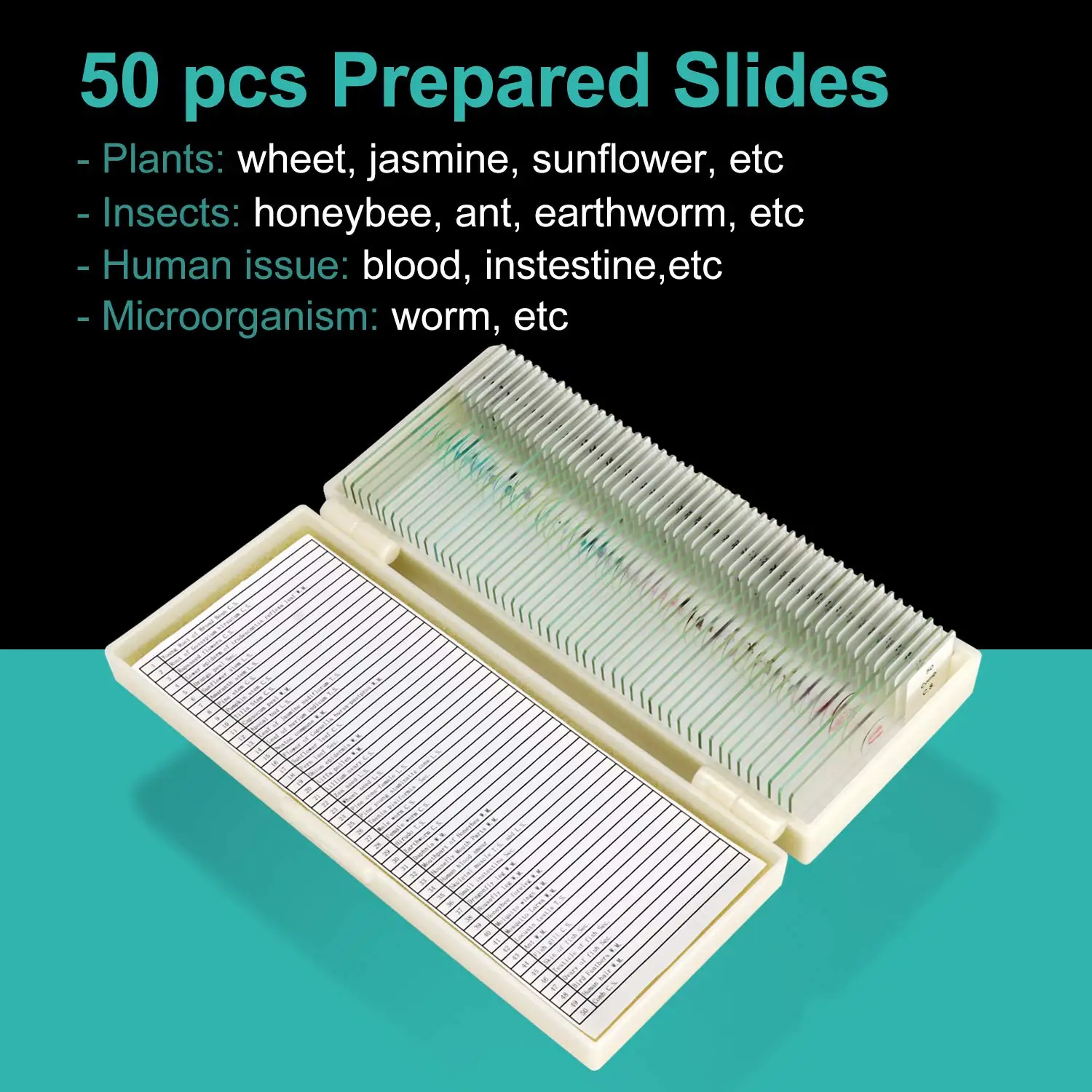 Fixed 50 Kinds Prepared Bacterial Microscope Slides For Microbiology Education
