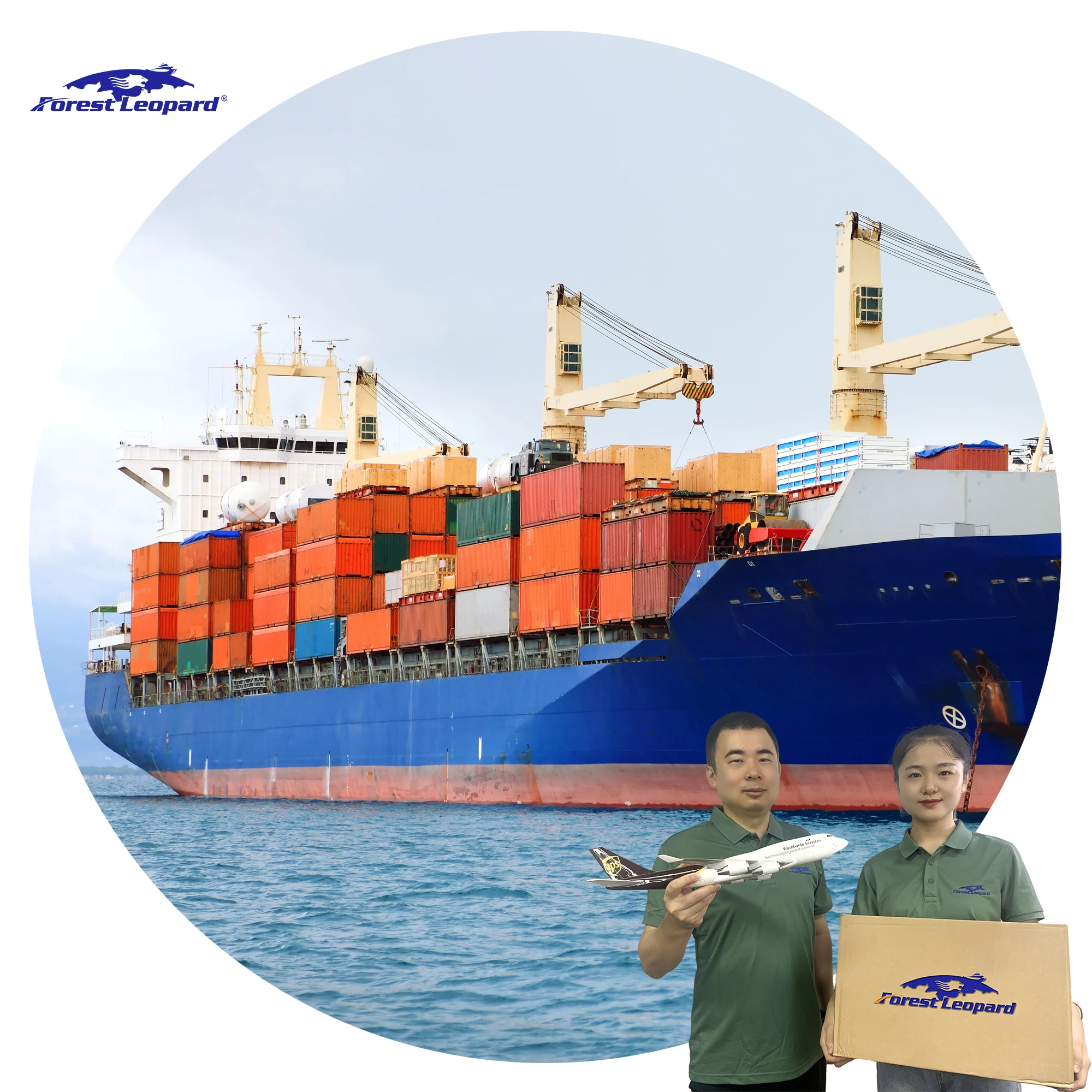 Free Customs Clearance Rates Logistics Agent Express SeaFreight Forwarder From China To USA  Freight shipping LAX9