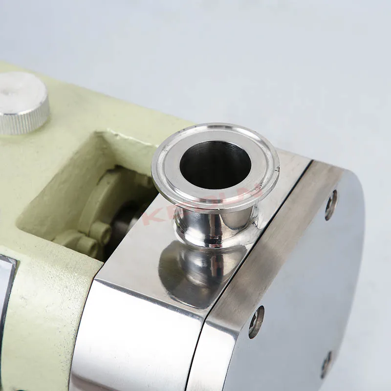 High Precision Factory Direct Supply SS304 316L Rotary Meat Transport Displacement Lobe Pump